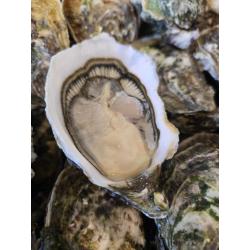 La spéciale L'huitre d'oc