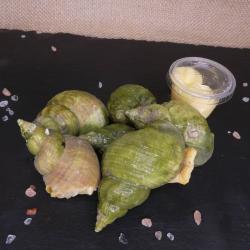6 Bulots avec aïoli