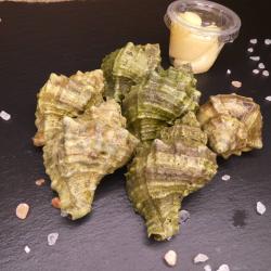 6 Escargots avec aïoli