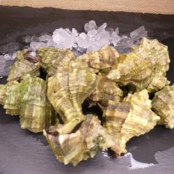 Escargots - Portion 100 gr