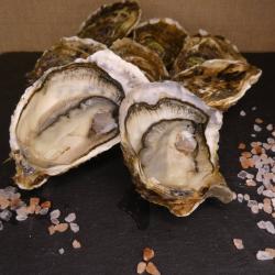 6 Huîtres N°3 - Ouvertes