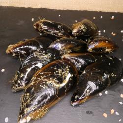 Moules à farcir - kg